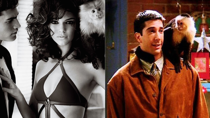 Illustration for article titled Who Loves Marcel the Monkey Best: Ross From Friends or Kendall Jenner?